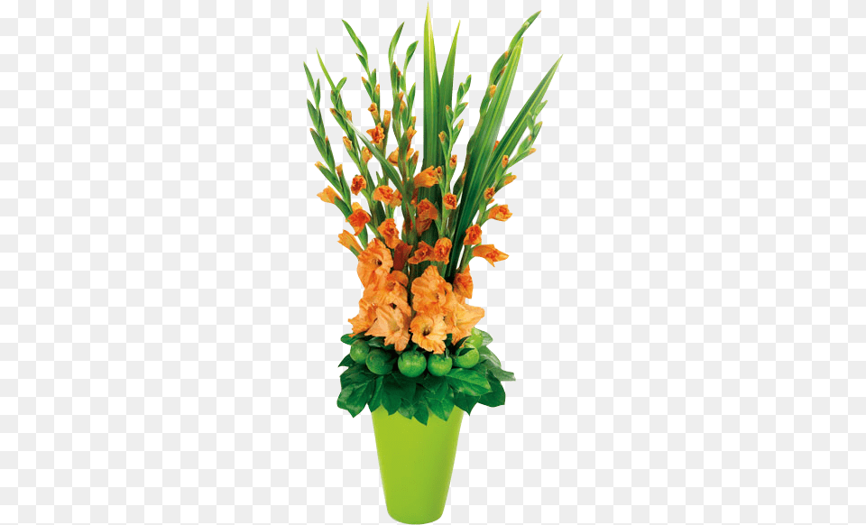 Gladiolus Flower Arrangements, Flower Arrangement, Plant, Potted Plant, Flower Bouquet Free Png