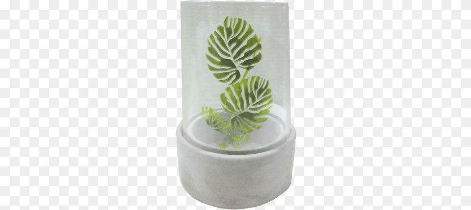 Glass And Monstera Leaf Hepix Framed Canvas Wall Art Tropical Leaves Drawing, Plant, Jar, Pottery, Fern Png