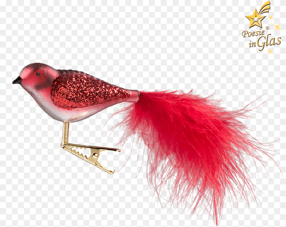 Glass Bird Red White White, Animal, Beak Png