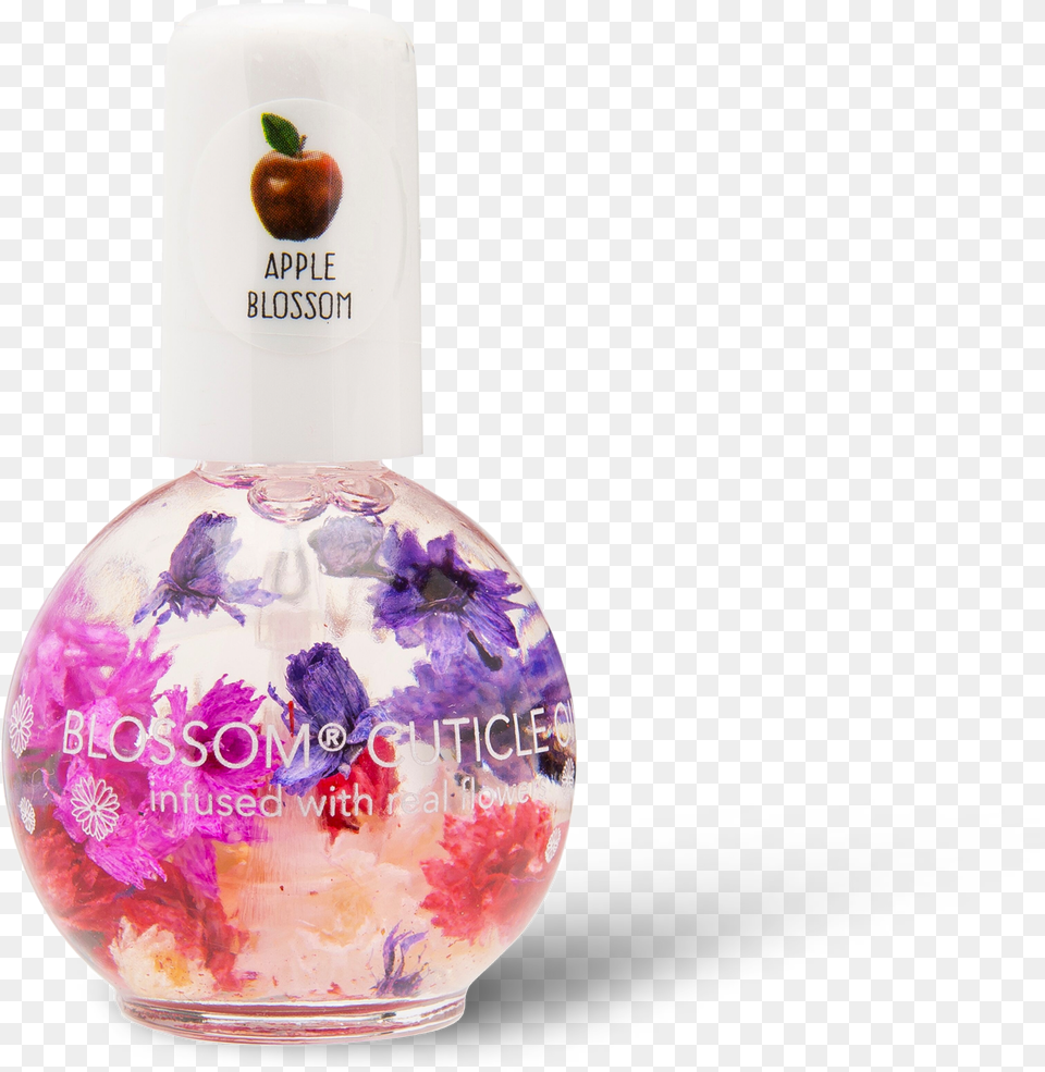 Glass Bottle, Cosmetics, Perfume Free Png