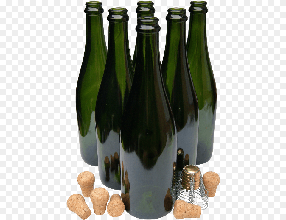 Glass Bottle, Alcohol, Beer, Beverage, Plant Free Png Download