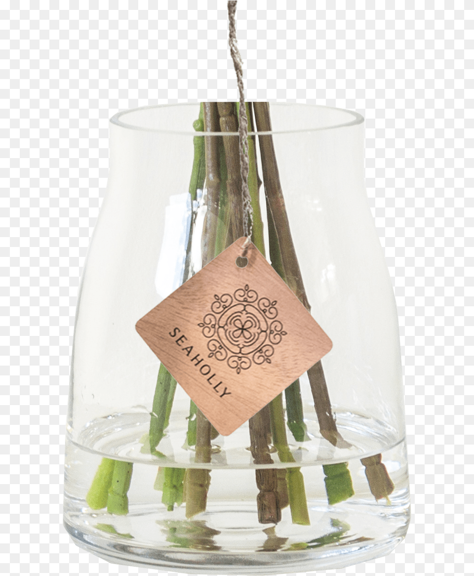 Glass Bottle, Jar, Pottery, Vase Png Image