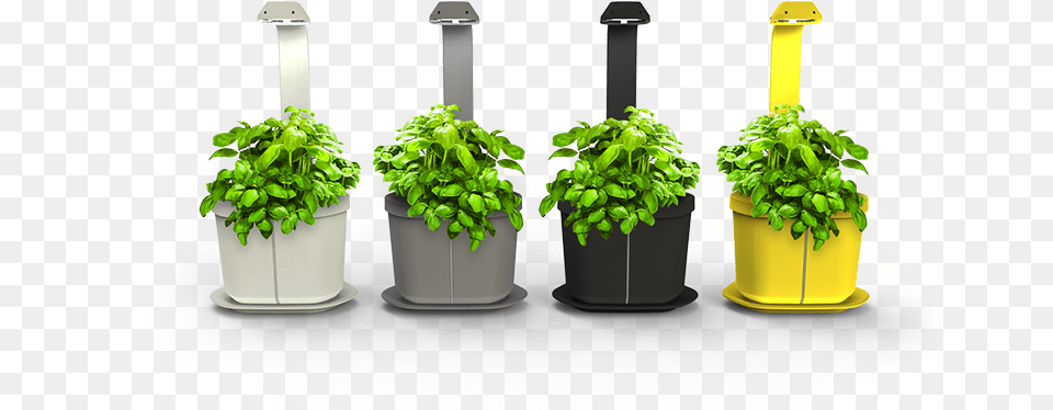 Glass Bottle, Herbs, Pottery, Potted Plant, Planter Free Transparent Png
