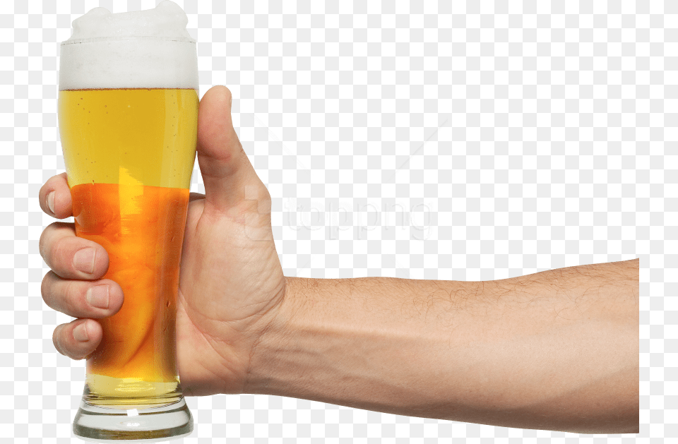 Glass Of Beer Images Holding Beer, Alcohol, Beer Glass, Beverage, Liquor Png