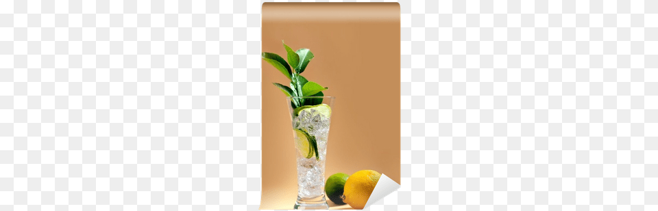 Glass Of Water Soda Or Alcoholic Drink Whith Lime Lemonade, Produce, Plant, Fruit, Food Free Png Download