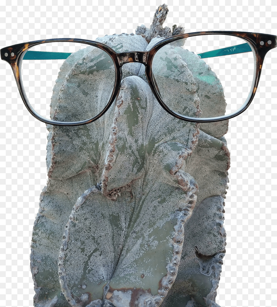 Glasses Free Png