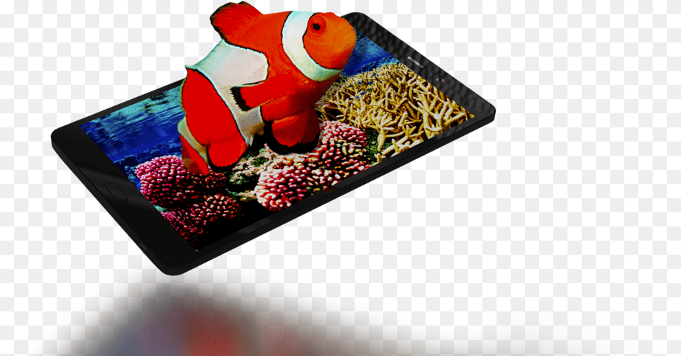 Glasses 3d Tablets Tablet Computer, Amphiprion, Animal, Fish, Sea Life Free Png Download