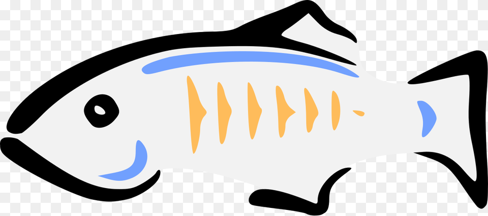 Glassfish Java, Animal, Sea Life, Fish, Baby Free Transparent Png