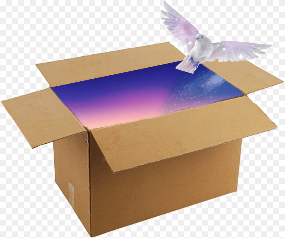 Glaxybox Galaxy Galaxybird Box Box Hummingbird, Animal, Bird, Cardboard, Carton Free Transparent Png