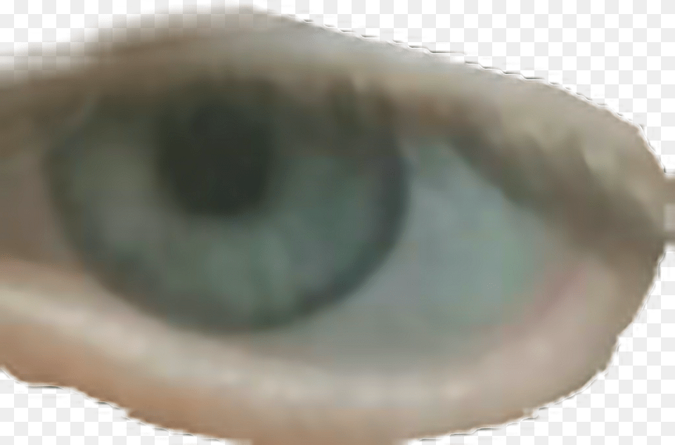 Glaz Close Up, Plate, Contact Lens Free Png