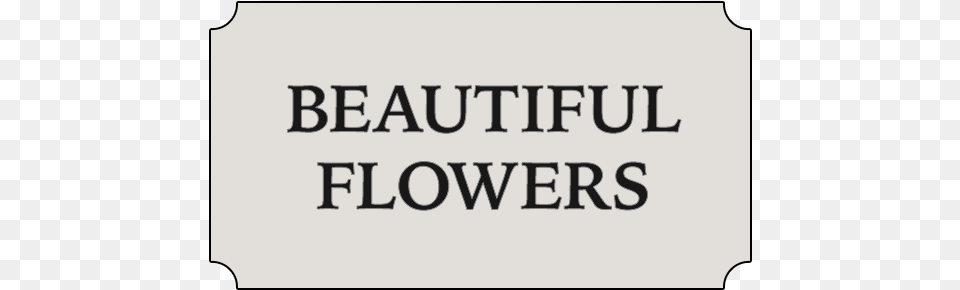 Glen Head Ny Florist Beautiful Flowers New, Text Free Transparent Png