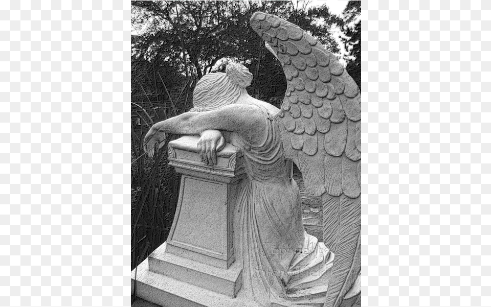 Glenwood Cemetery Weeping Angel Stone Field Reverie, Art, Animal, Bear, Mammal Free Png