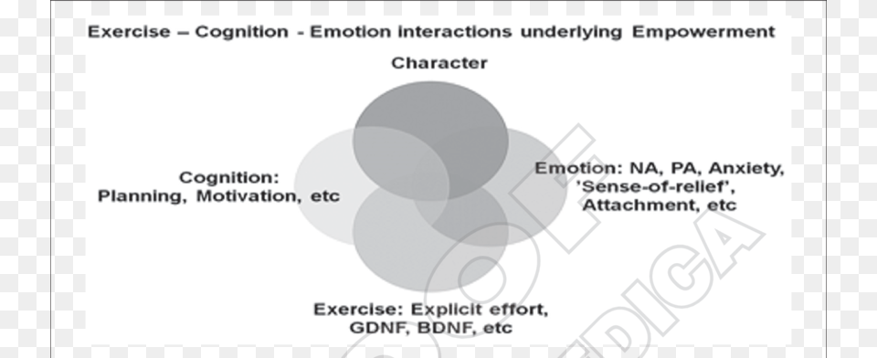 Gli Attributi Associati Ai Quattro Tipi Di Personalit, Text, Diagram Png Image