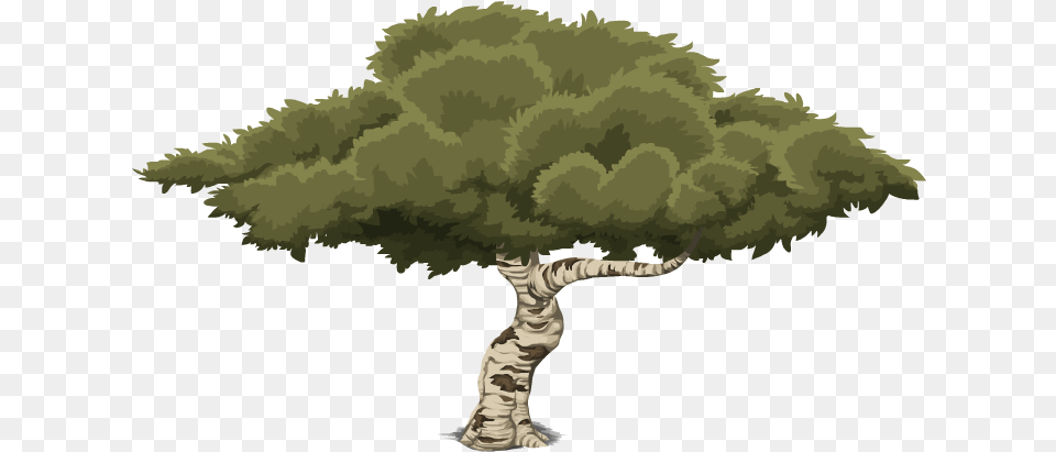 Glitch Groddle Assets Opengameartorg 2d Tree Transparent Background, Plant, Oak, Sycamore, Art Png