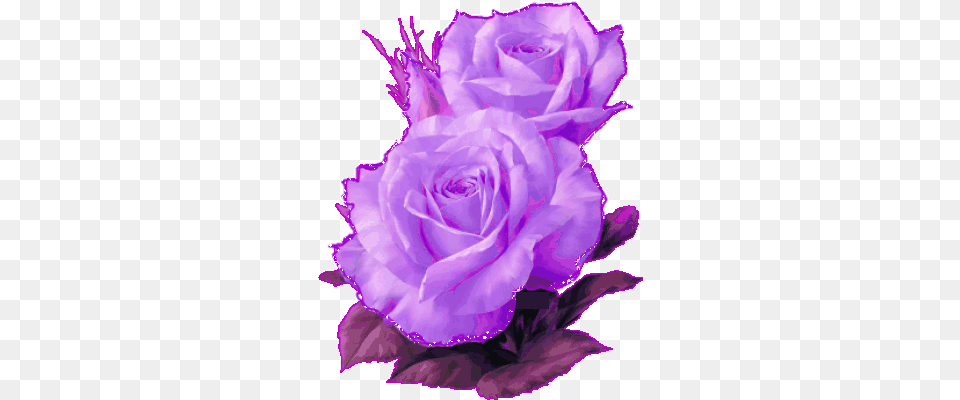 Glitter Animated Images Gifs Pictures U0026 Animations Beautiful Flower Paintings In The World, Plant, Rose, Flower Arrangement, Flower Bouquet Free Png Download