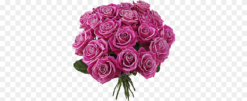 Glitter Gif Picgifs Roses Flower Bouquet, Flower Arrangement, Flower Bouquet, Plant, Rose Free Png