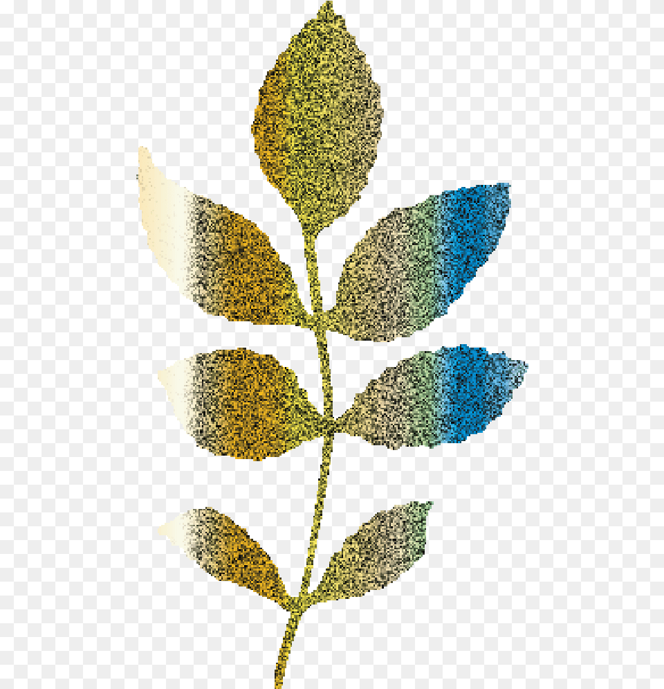 Glitter Golden Elegant Wedding Branch And Leafs Example Pond Pine, Leaf, Plant, Art, Person Free Png