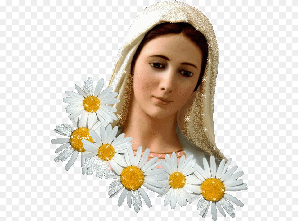 Glitter Graphics The Community For Enthusiasts Mother Mary With Flower, Daisy, Plant, Adult, Person Free Png Download