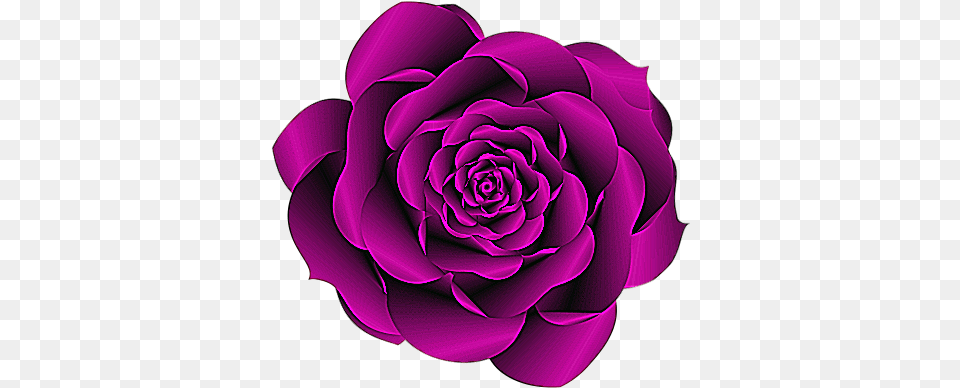 Glitter Purple Rose Clipart Japanese Camellia, Dahlia, Flower, Plant, Pattern Png