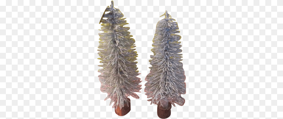 Glittering Snow Covered Trees Tree, Plant, Fir, Christmas, Christmas Decorations Free Transparent Png