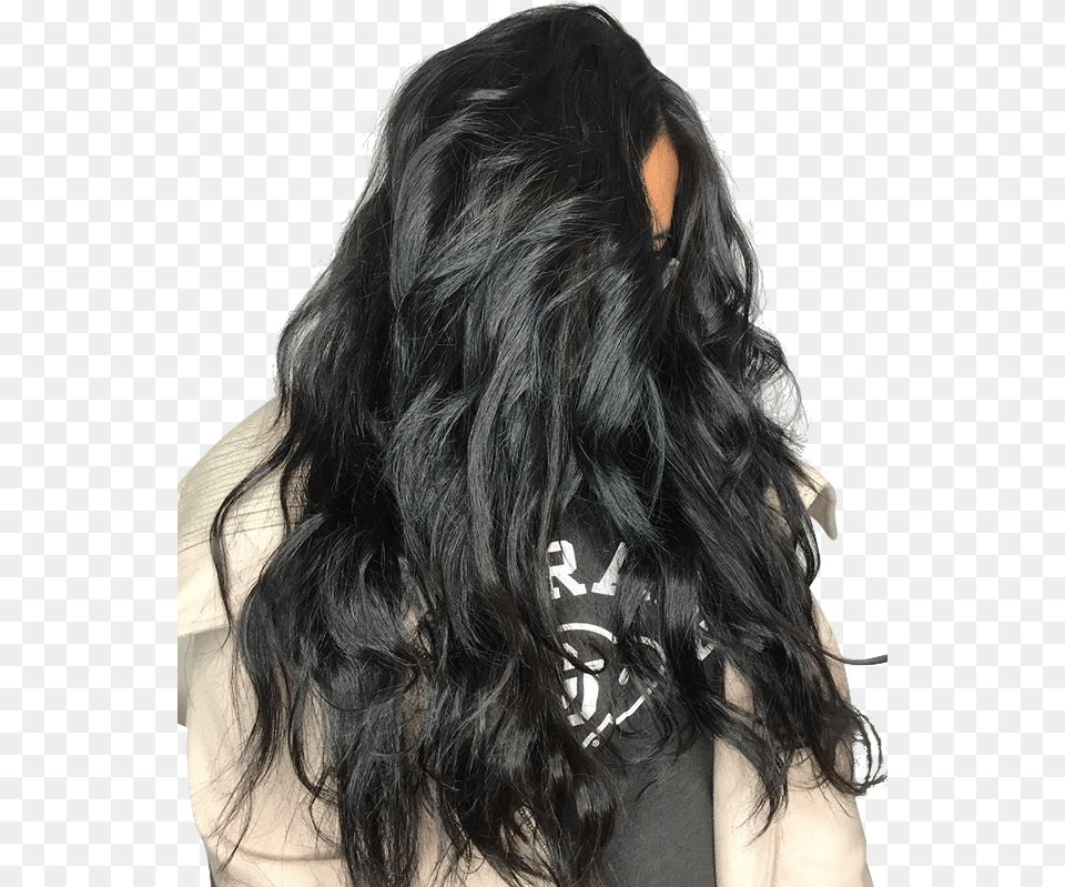 Glo Extensions Blowout Packages Lace Wig, Adult, Black Hair, Female, Hair Free Transparent Png