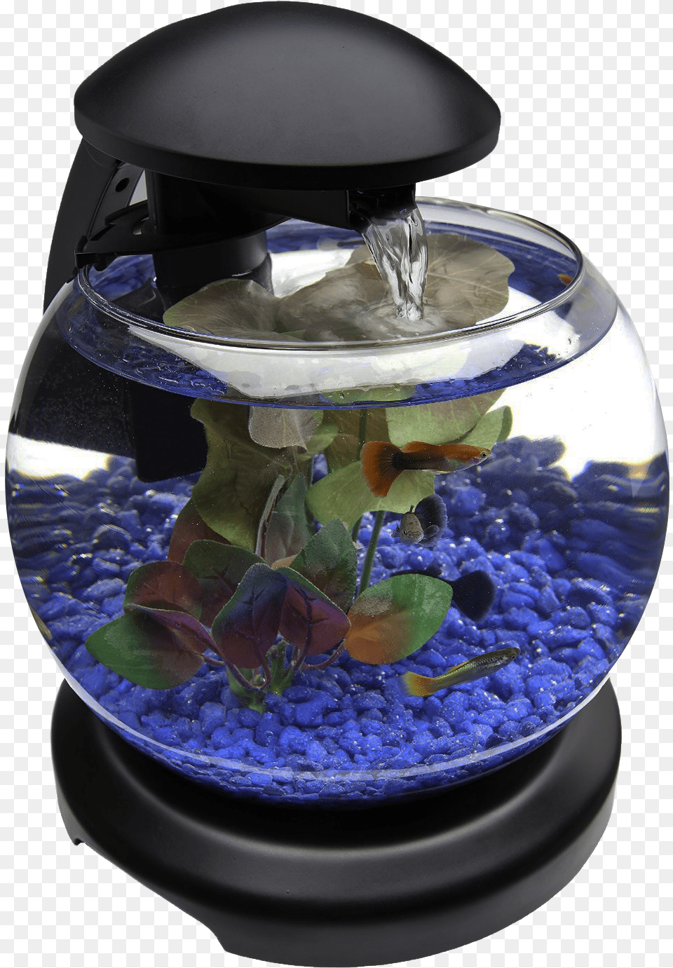 Glob Aquarium Fish Tank Transparent Aquarium Design, Animal, Sea Life, Water, Aquatic Free Png Download