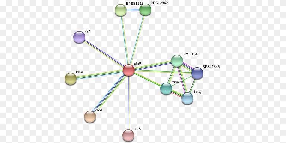 Glob Protein Circle, Network, Chandelier, Lamp, Nature Png