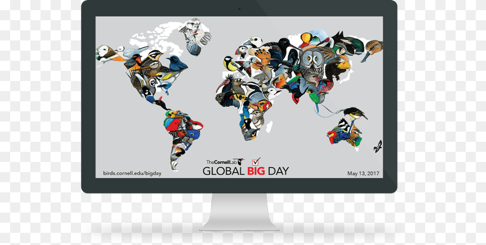 Global Big Day 2018, Person, People, Animal, Bird Png