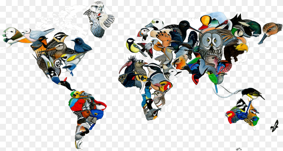Global Big Day Illustration By Luke Seitzdata Global Big Day 2019, Art, Collage, Animal, Bird Free Png Download