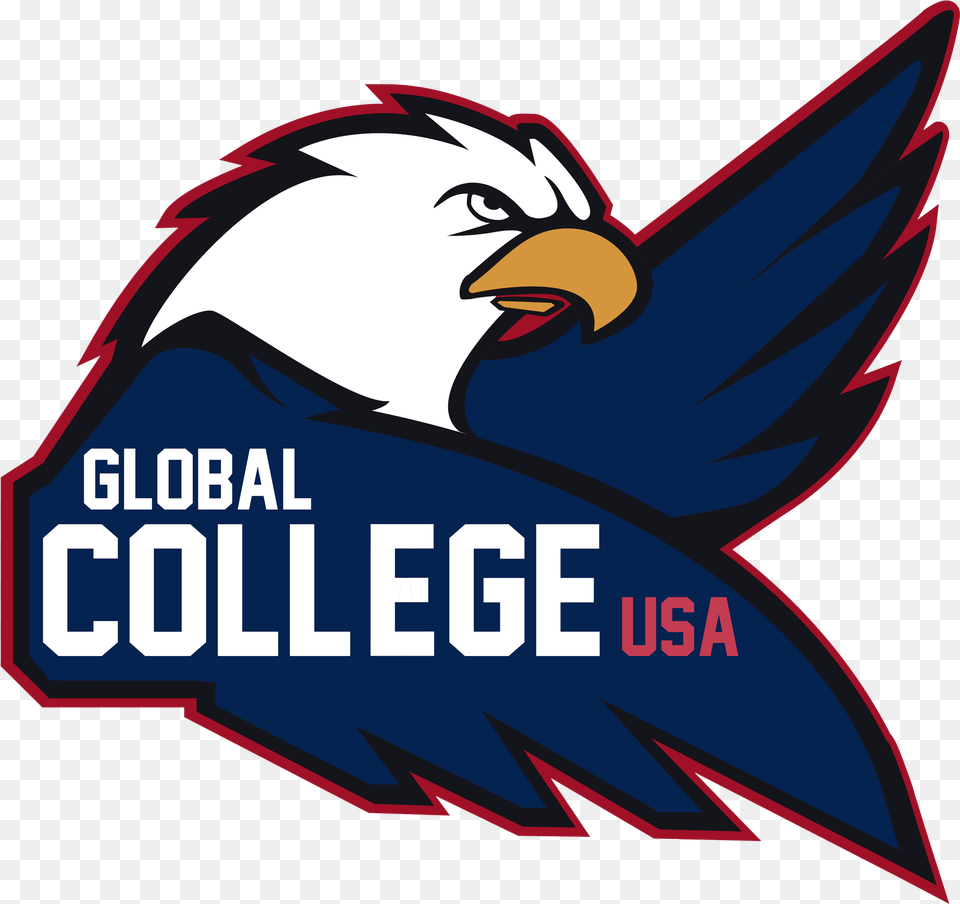 Global College Usa, Animal, Bird, Eagle, Logo Png Image