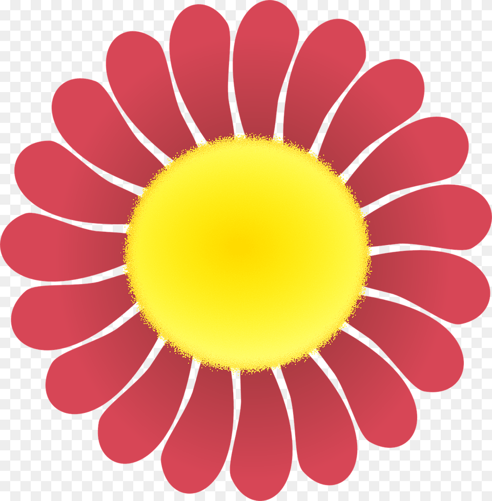 Global Goals White Logo, Petal, Daisy, Flower, Plant Png