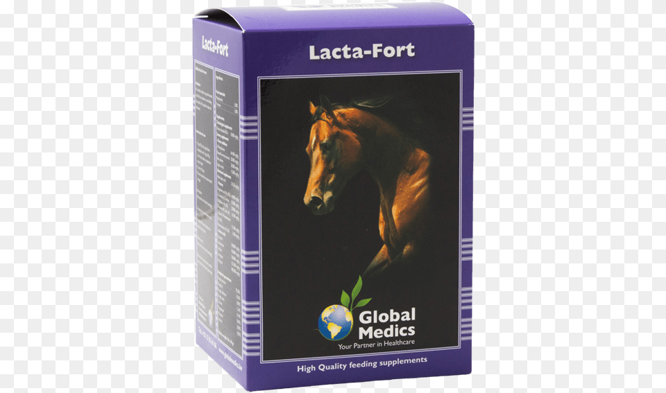 Global Medics Lacta Fort Global Medics Limited, Animal, Colt Horse, Horse, Mammal Free Png