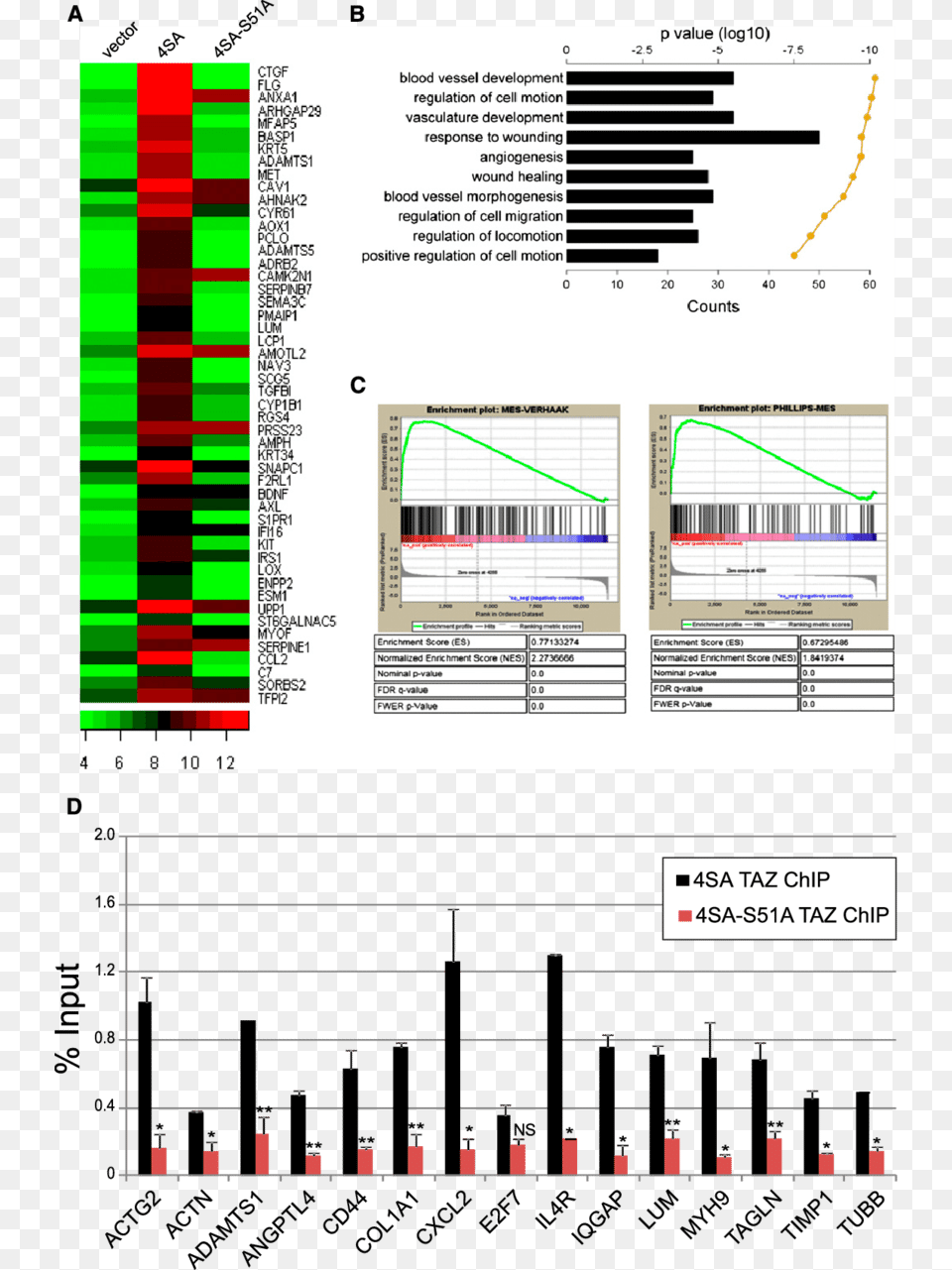 Global Mes Differentiation Induced By Taz Tead Via Heat Map, Chart Free Png Download