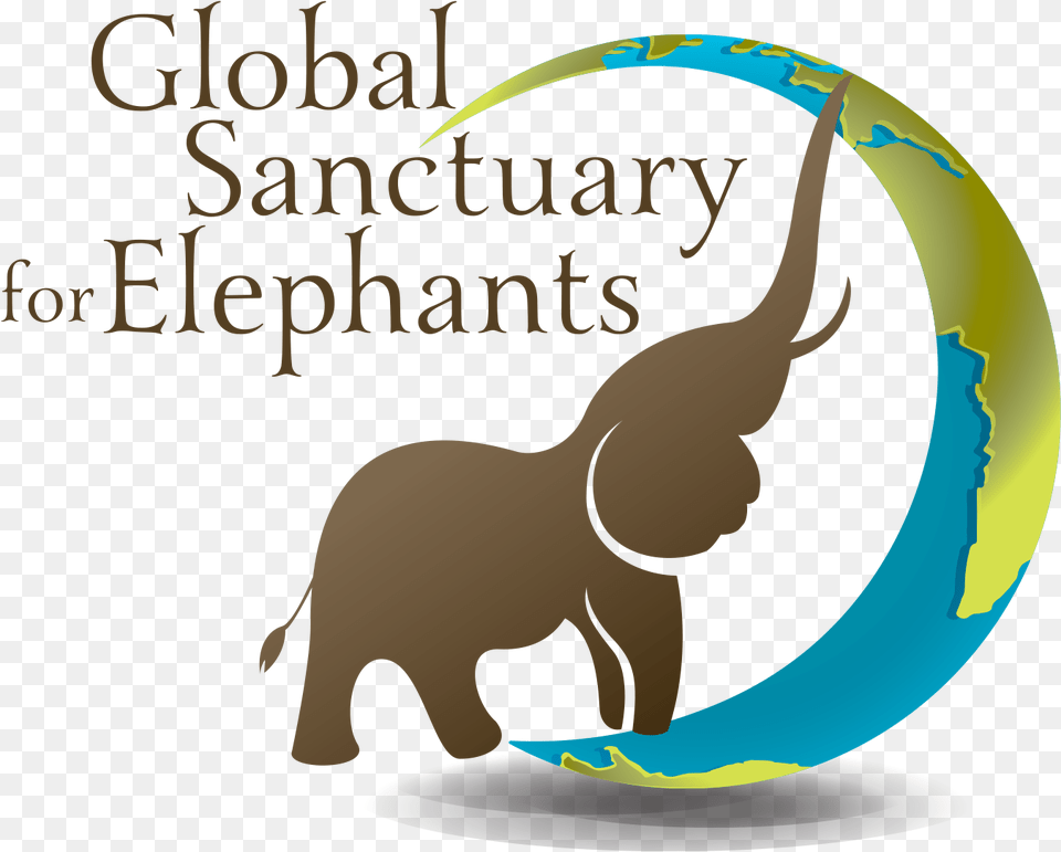 Global Sanctuary For Elephants Logo Elephant Sanctuary Logo, Baby, Person, Animal, Mammal Free Png Download