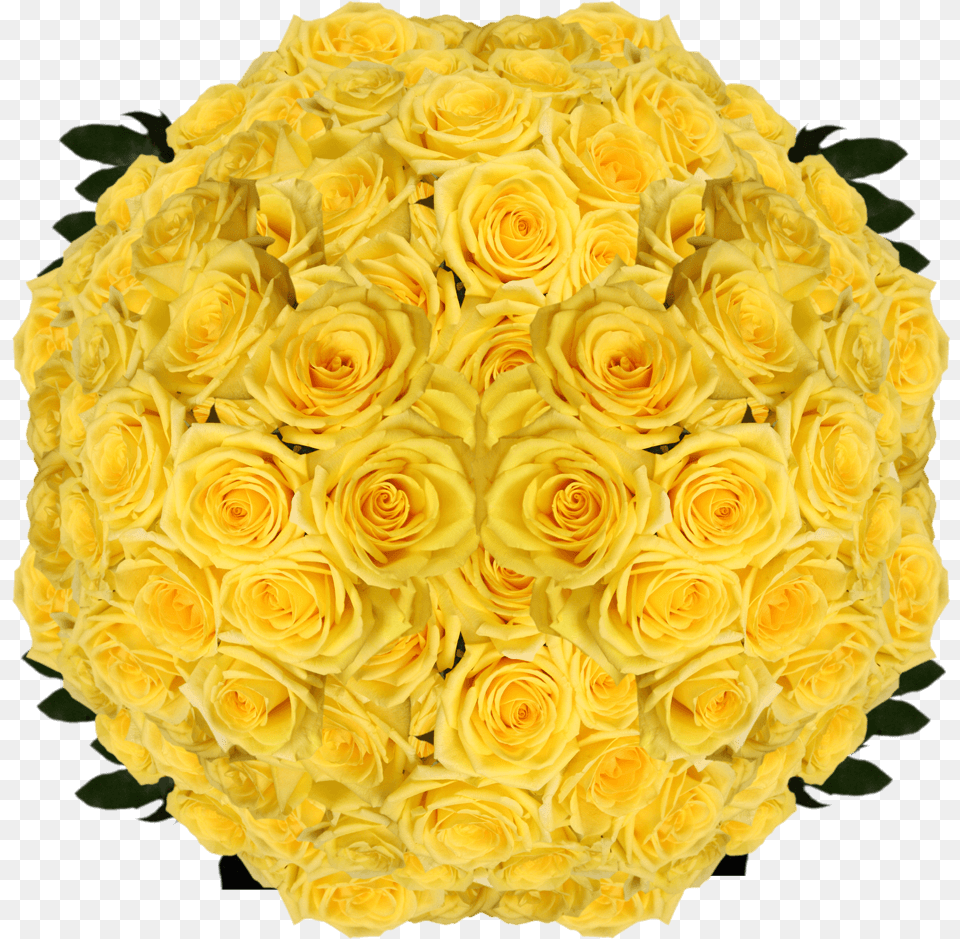 Globalrose Best Yellow Roses 150 Gold Strike Roses Long Garden Roses, Flower, Flower Arrangement, Flower Bouquet, Petal Free Png