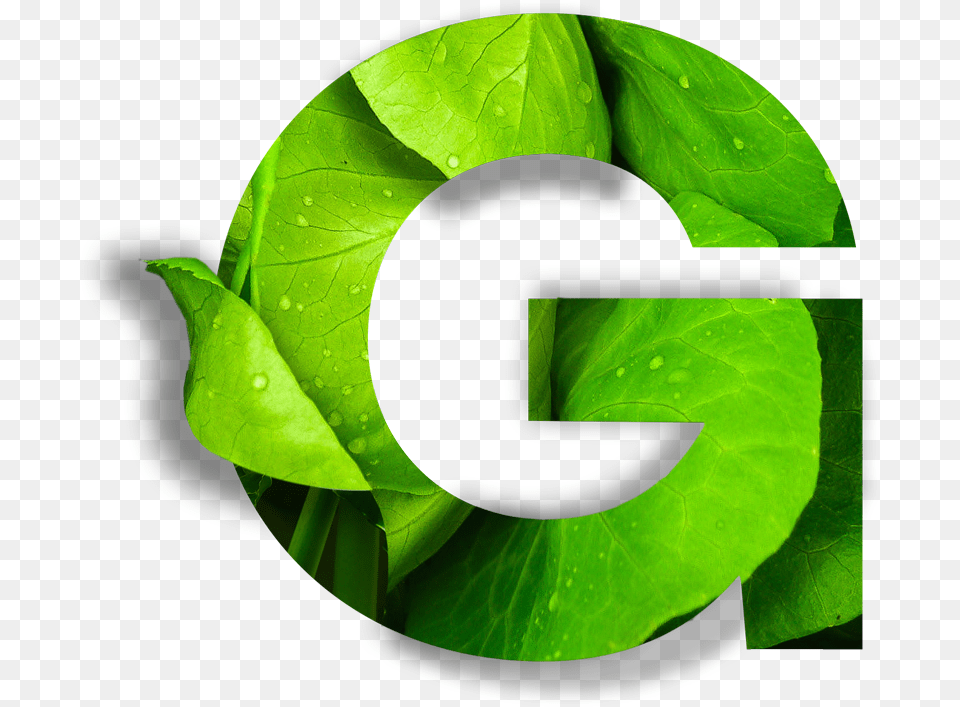 Globe 2020 Vancouver, Leaf, Plant, Food, Leafy Green Vegetable Free Png