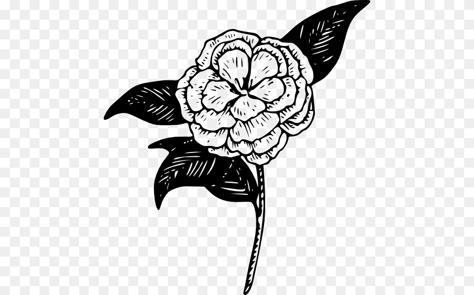 Globe Outline, Art, Drawing, Flower, Plant Png