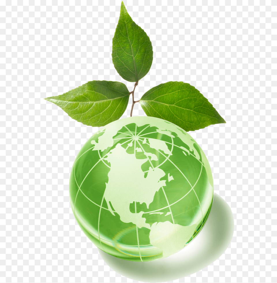 Globe With Green Leaf, Plant, Sphere, Astronomy, Outer Space Png Image