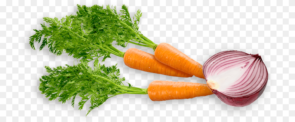 Glory Shot Onion Carrot, Food, Plant, Produce, Vegetable Free Png