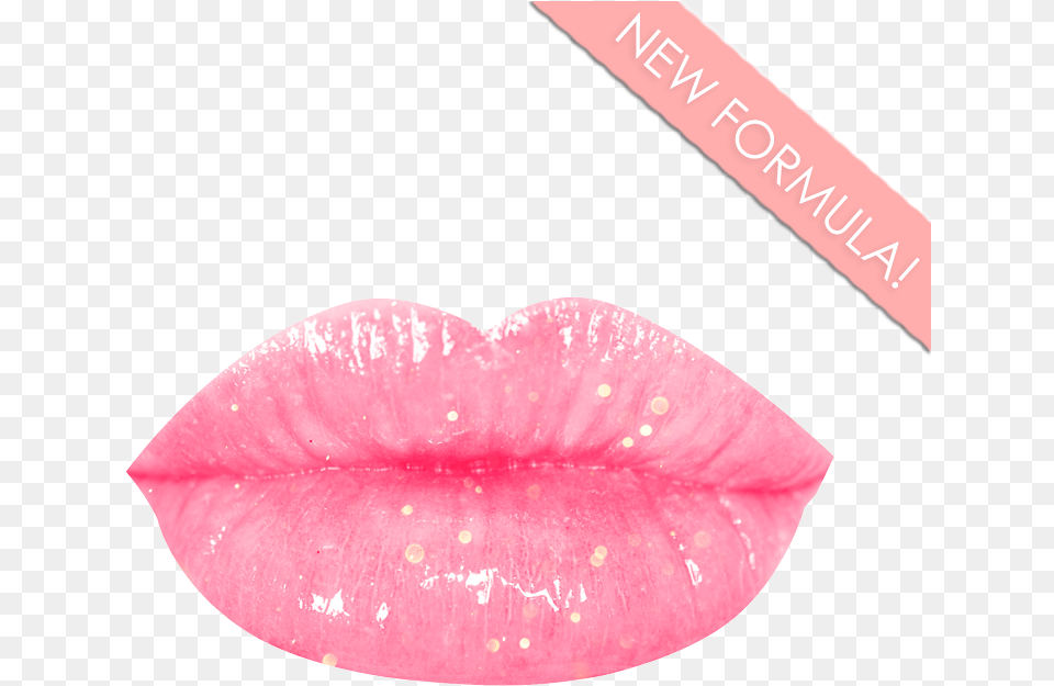 Glossy Boss Lip Gloss In Shade Poodle Pink Glossy Lips, Body Part, Flower, Mouth, Person Png Image