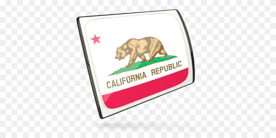 Glossy Rectangular Icon Illustration Of Flag Ofltbr Gt California, Animal, Bear, Mammal, Wildlife Png