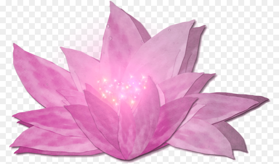 Glow Flower, Plant, Rose, Lily, Dahlia Png