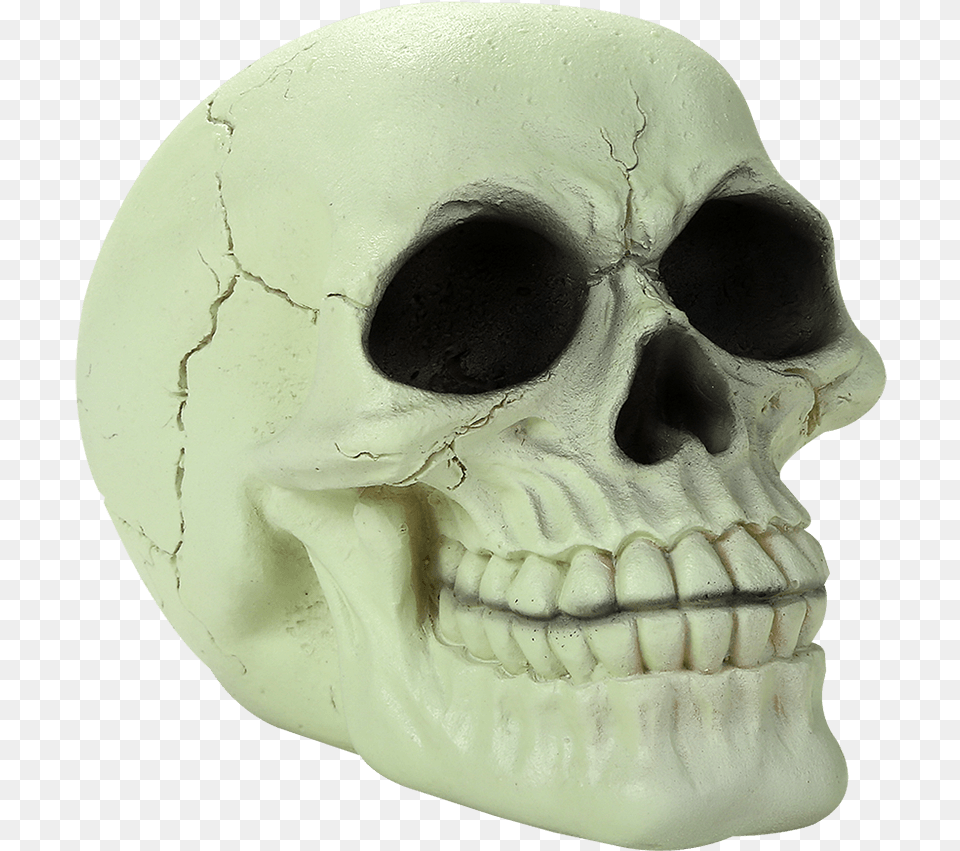 Glow In The Dark Skull, Head, Person, Face Png Image