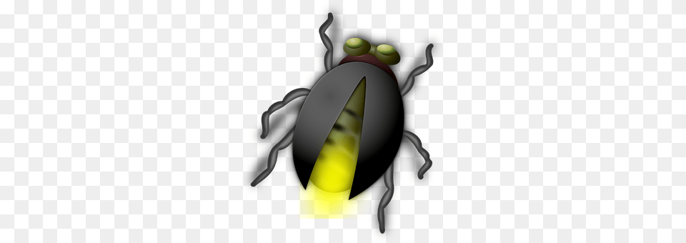 Glow Worm Animal, Firefly, Insect, Invertebrate Free Transparent Png