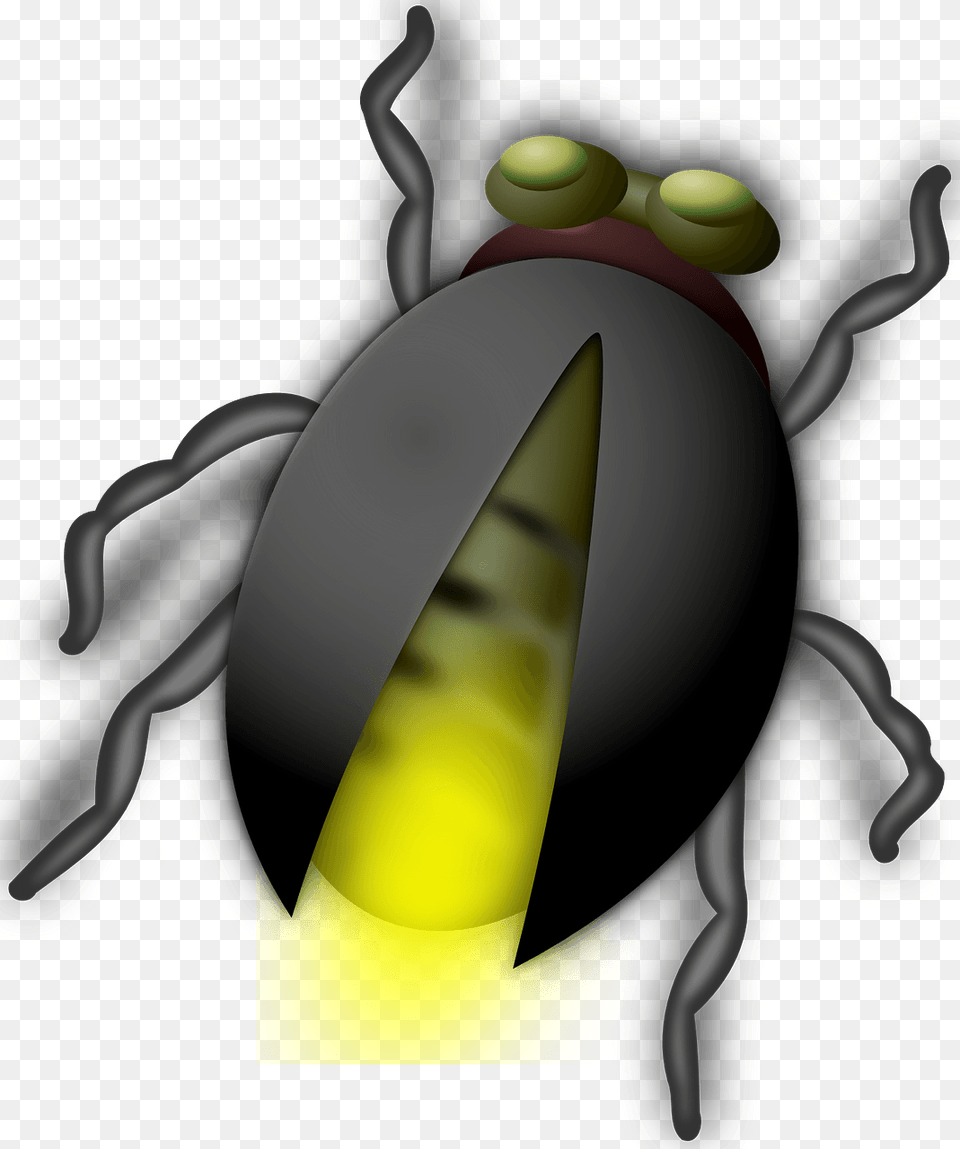 Glow Worm, Animal, Firefly, Insect, Invertebrate Free Png