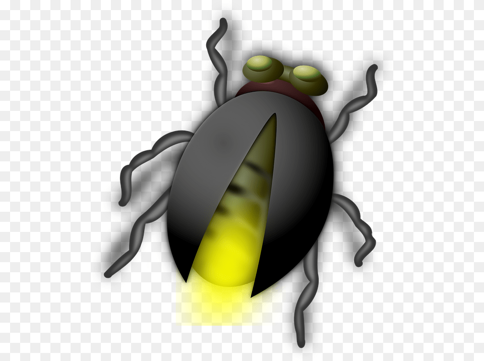 Glow Worm Glowworm Bug Autumn Family Programs Powerpoint, Animal, Firefly, Insect, Invertebrate Png