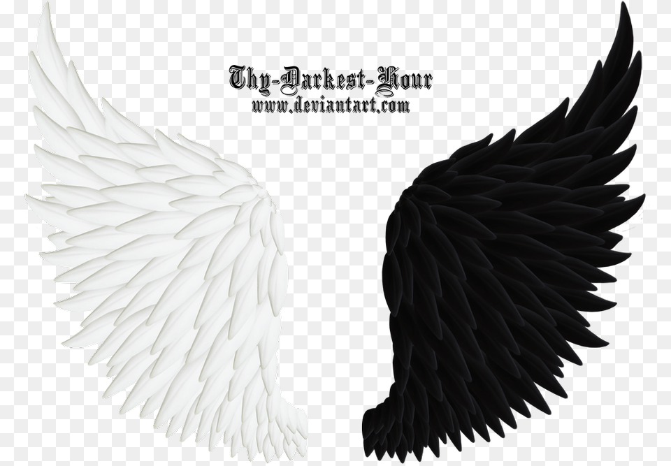 Glowing Angel Wings Angel And Jinn, Animal, Bird, Eagle, Vulture Free Transparent Png