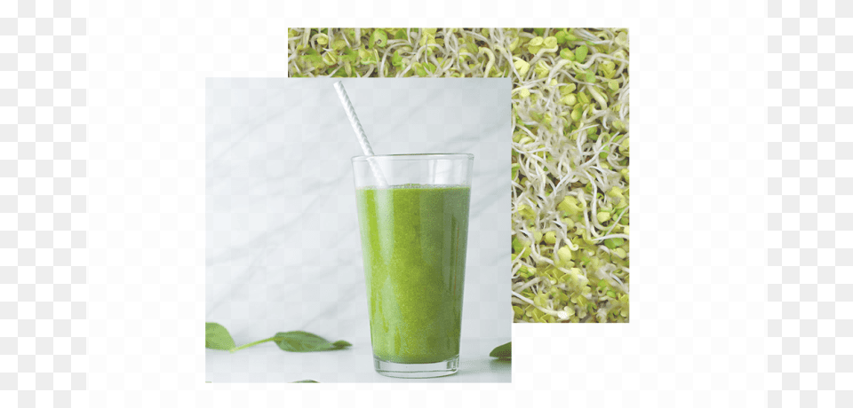 Glowing Green Smoothie, Beverage, Juice, Plant, Sprout Png Image