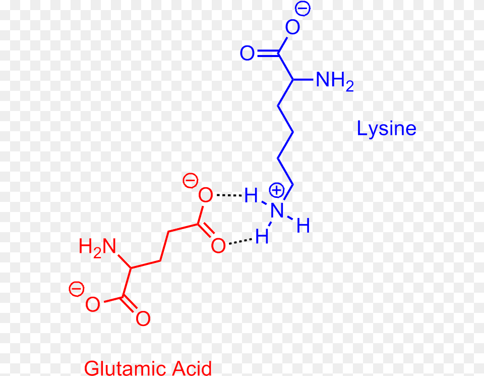 Glutamic Acid Lysine Salt Bridge Lysine Aspartic Acid Salt Bridge Free Png Download