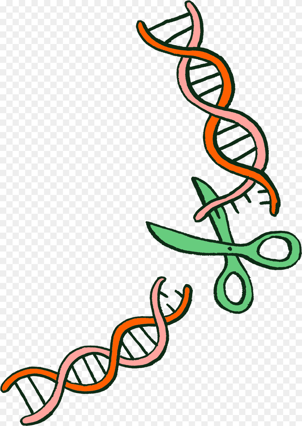 Gmos Exchange Of Dna, Art, Graphics, Floral Design, Pattern Free Png Download